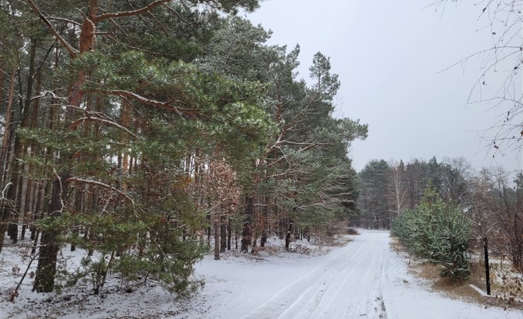 działka na sprzedaż - Aleksandrów Łódzki